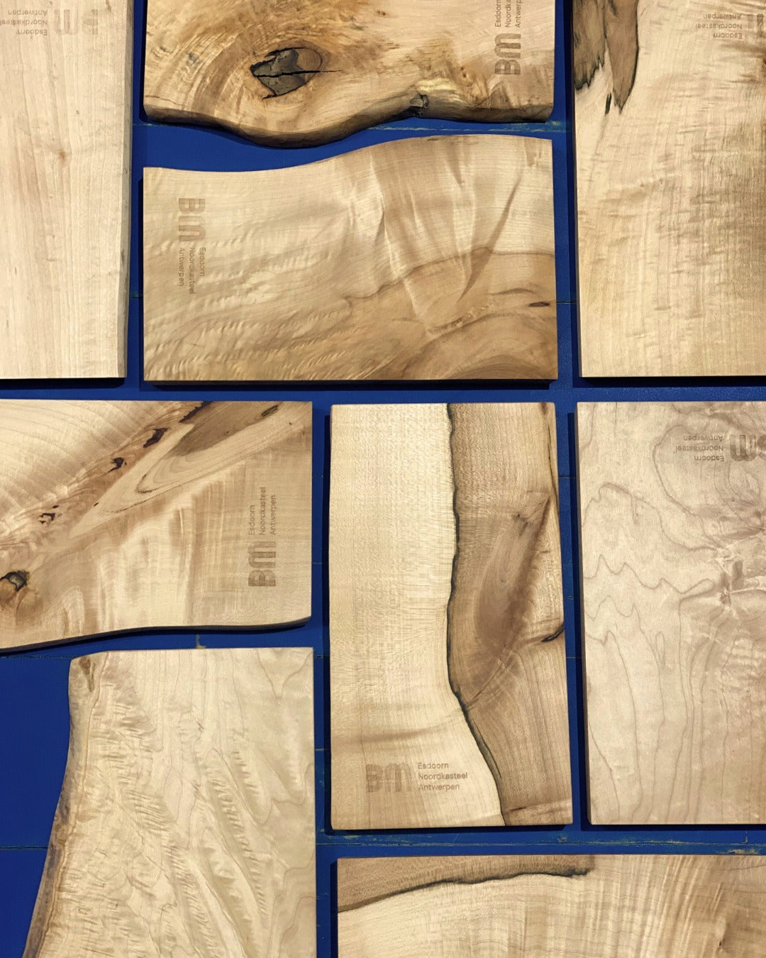 Van stadsboom tot hapjesplank: het verhaal van het Noordkasteel