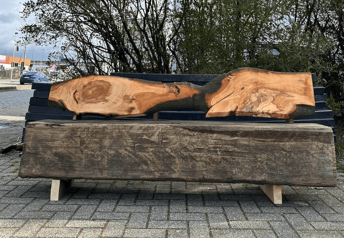 Raw Bench in Kamp C (2023)