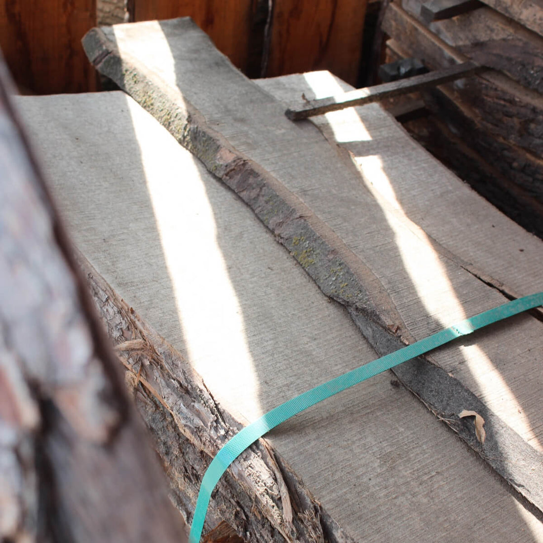 Esdoorn schaaldelen in drooghok