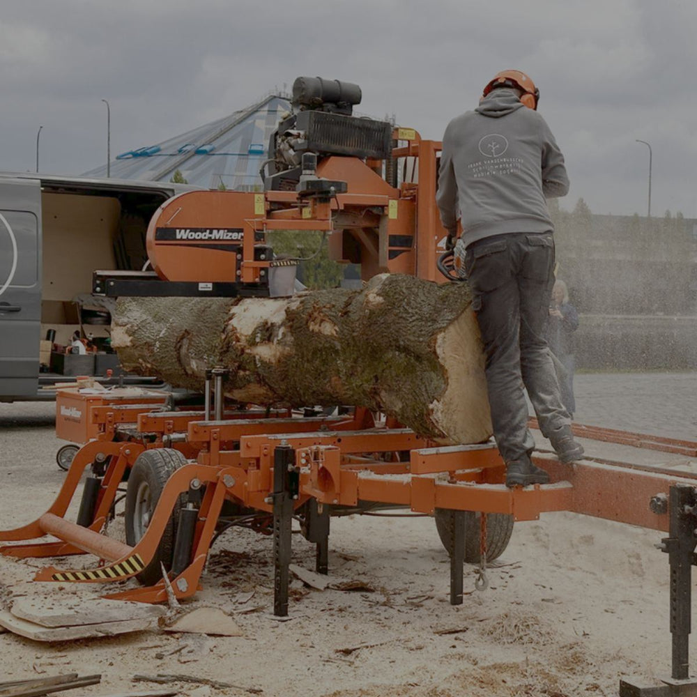 Esdoorn Noordkasteel