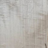 Esdoorn Noordkasteel