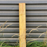 Framiré planken (st)
