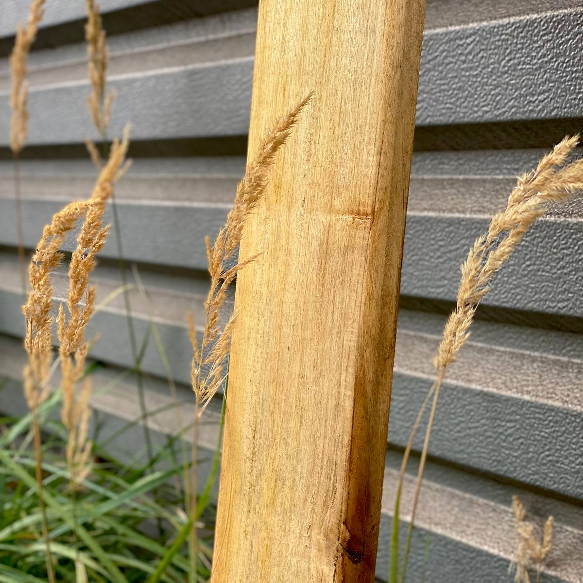 Framiré planken (st)