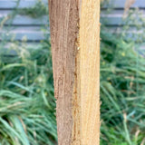 Framiré latten (st)