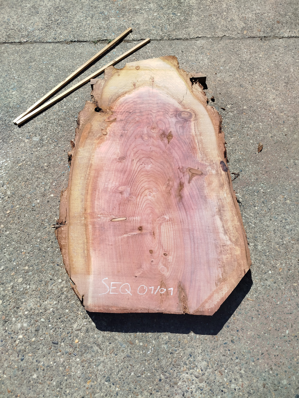 Sequoia (st)