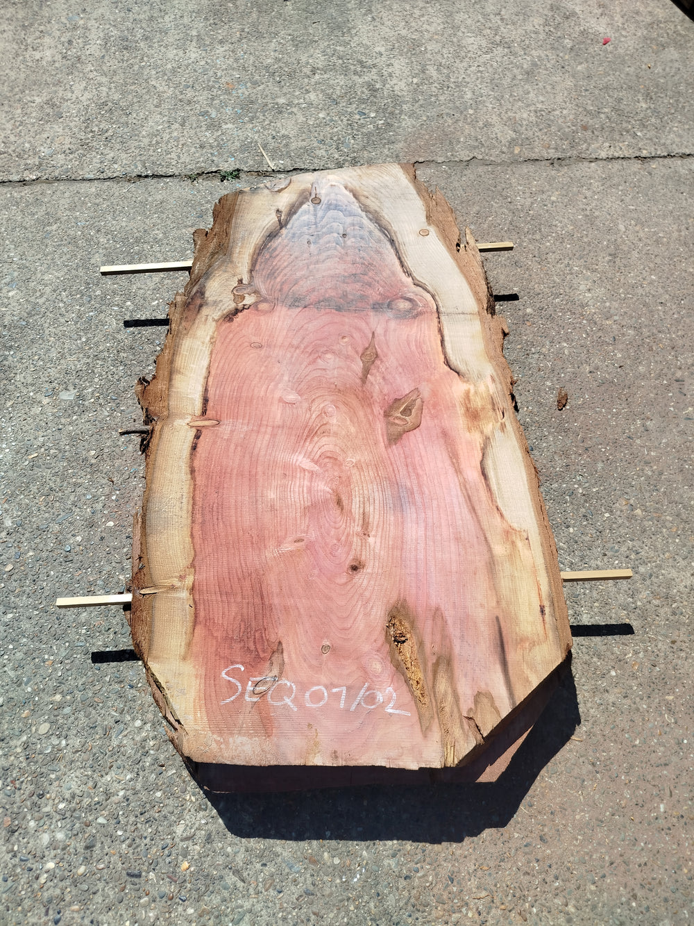 Sequoia (st)
