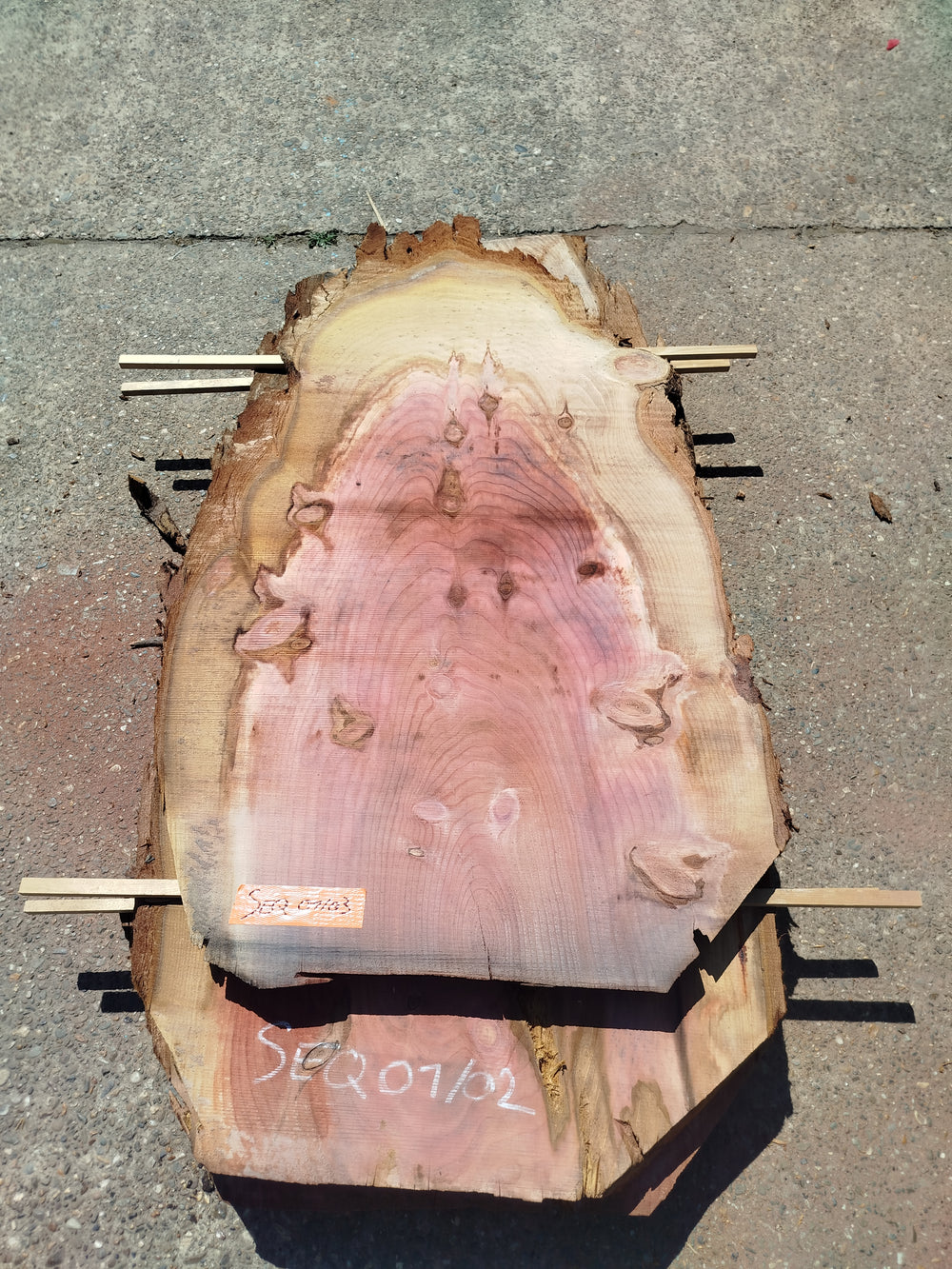 Sequoia (st)