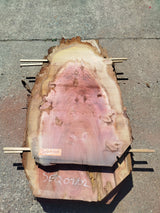 Sequoia (st)