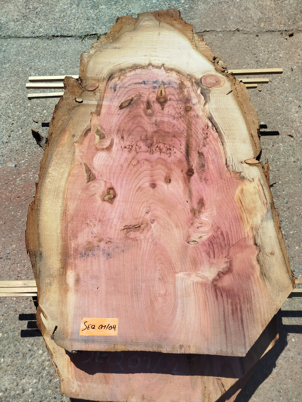 Sequoia (st)