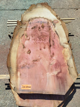 Sequoia (st)