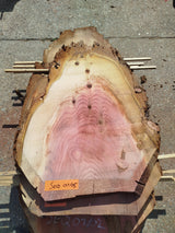 Sequoia (st)