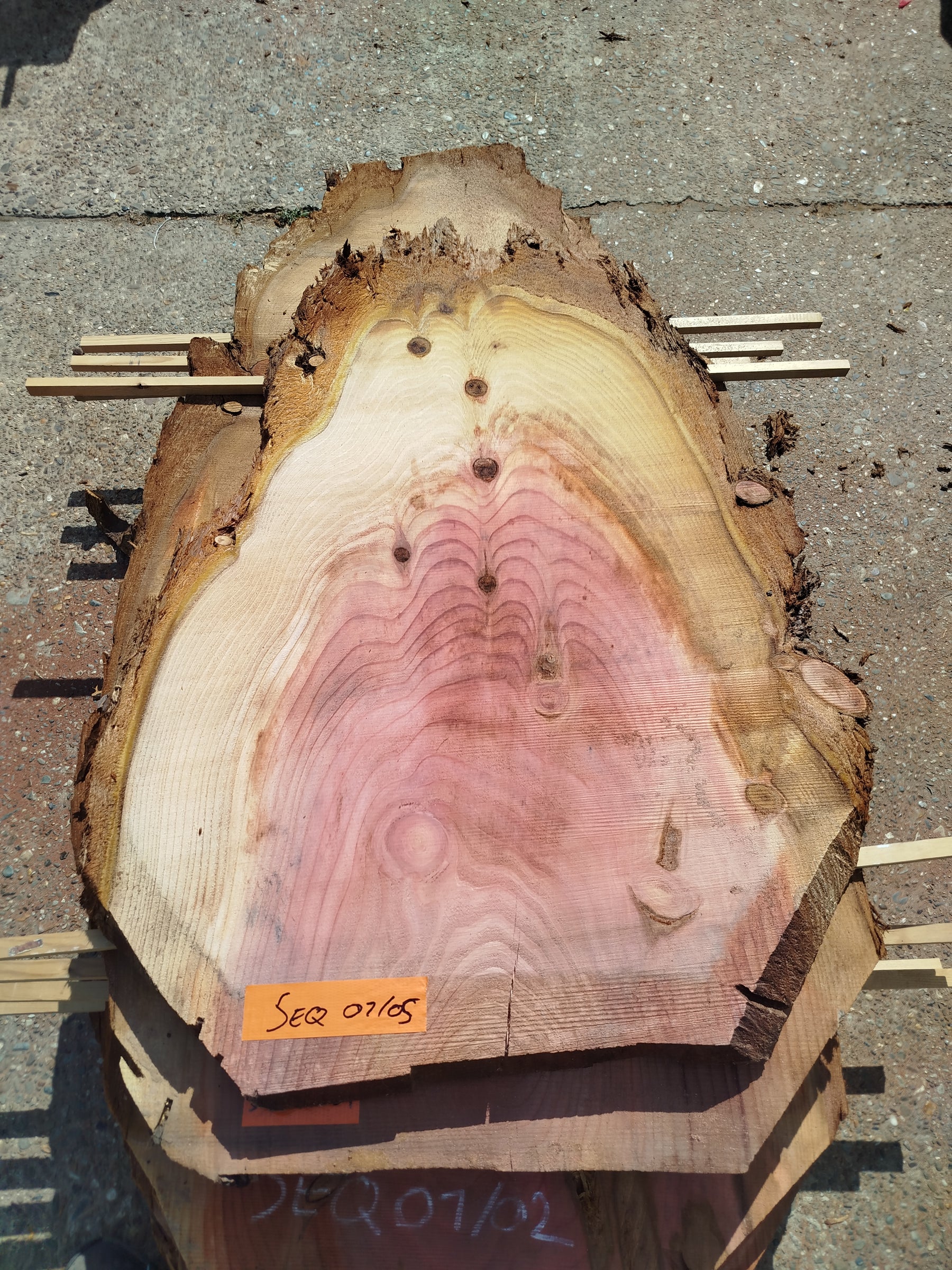 Sequoia (st)