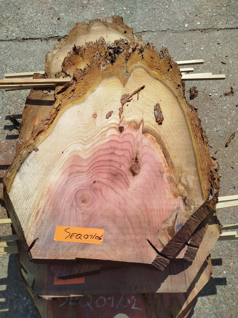 Sequoia (st)
