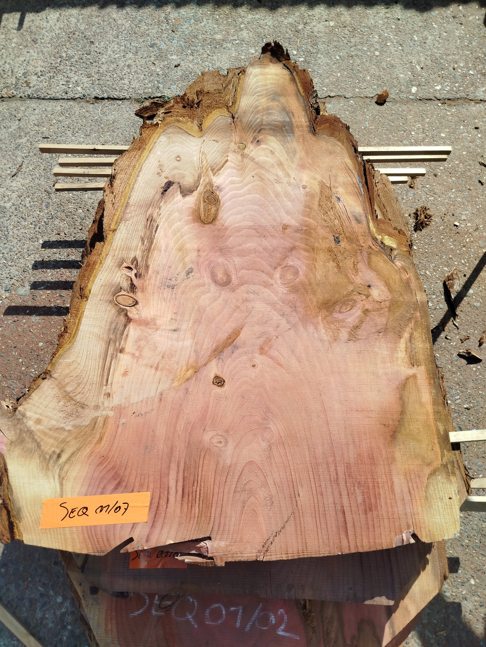Sequoia (st)