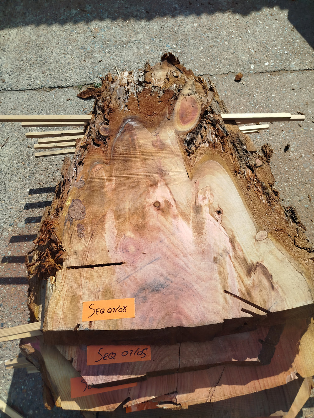 Sequoia (st)