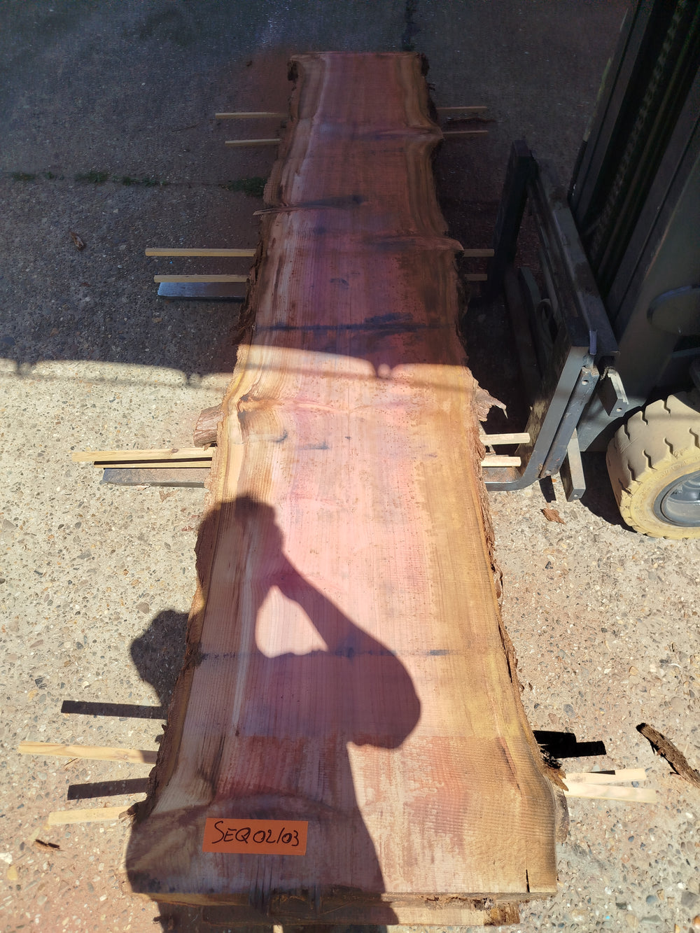 Sequoia (st)