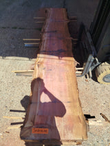 Sequoia (st)