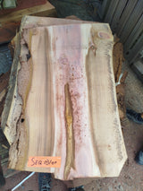 Sequoia (st)