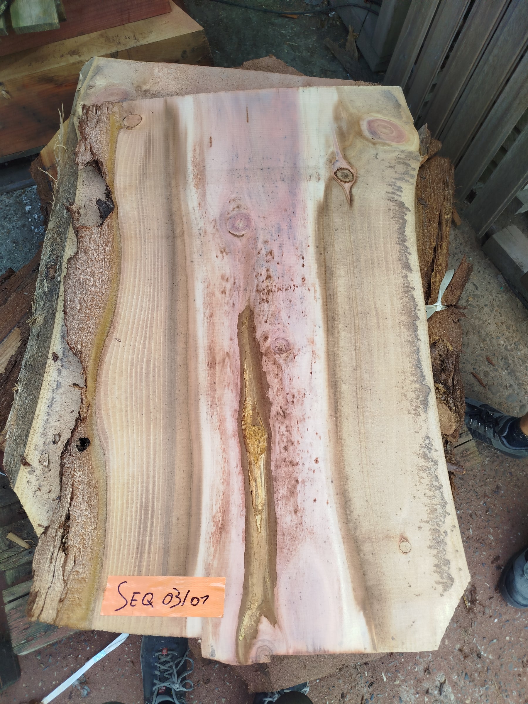 Sequoia (st)