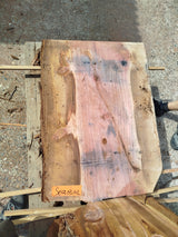 Sequoia (st)