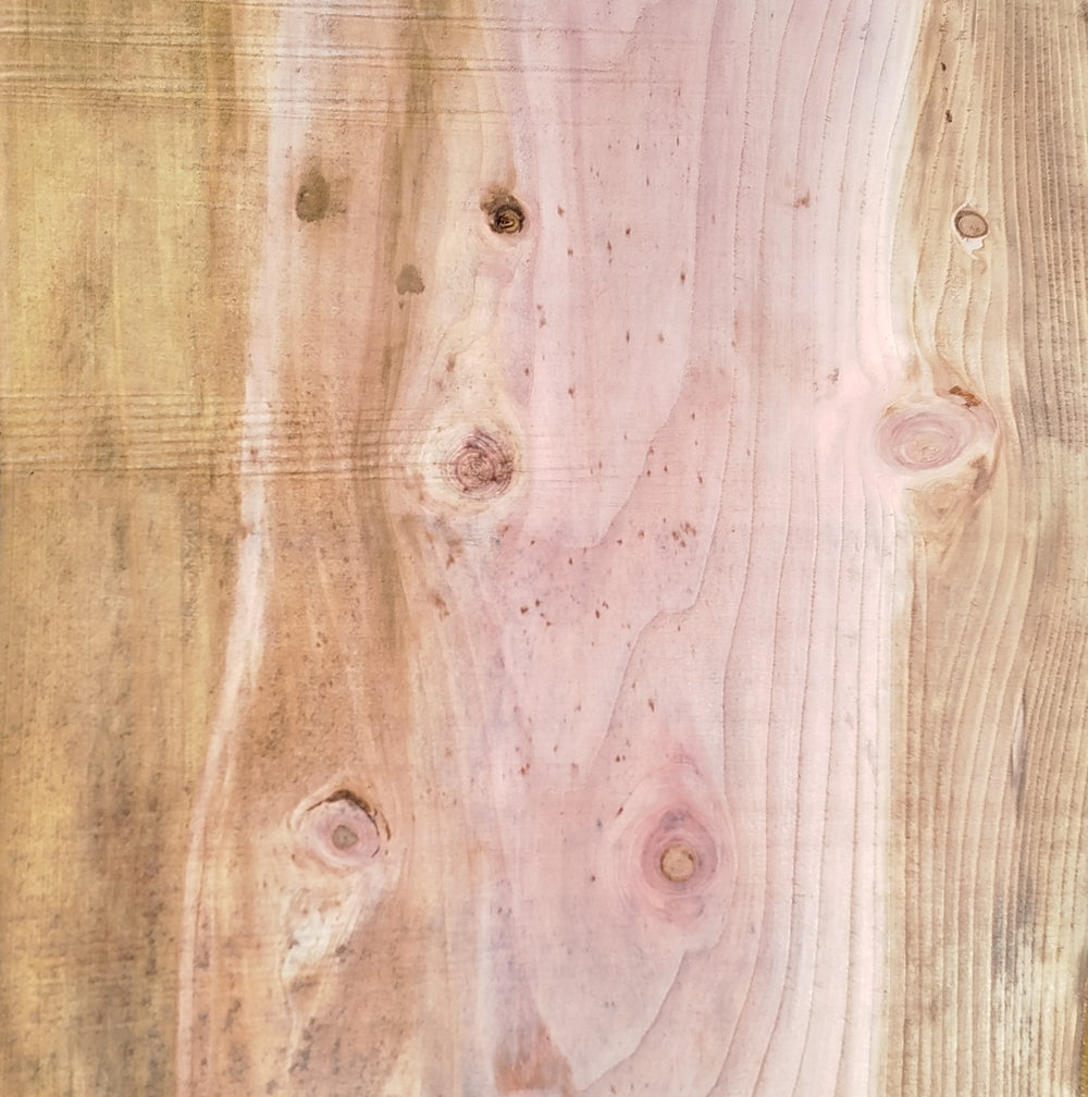 Sequoia (st)