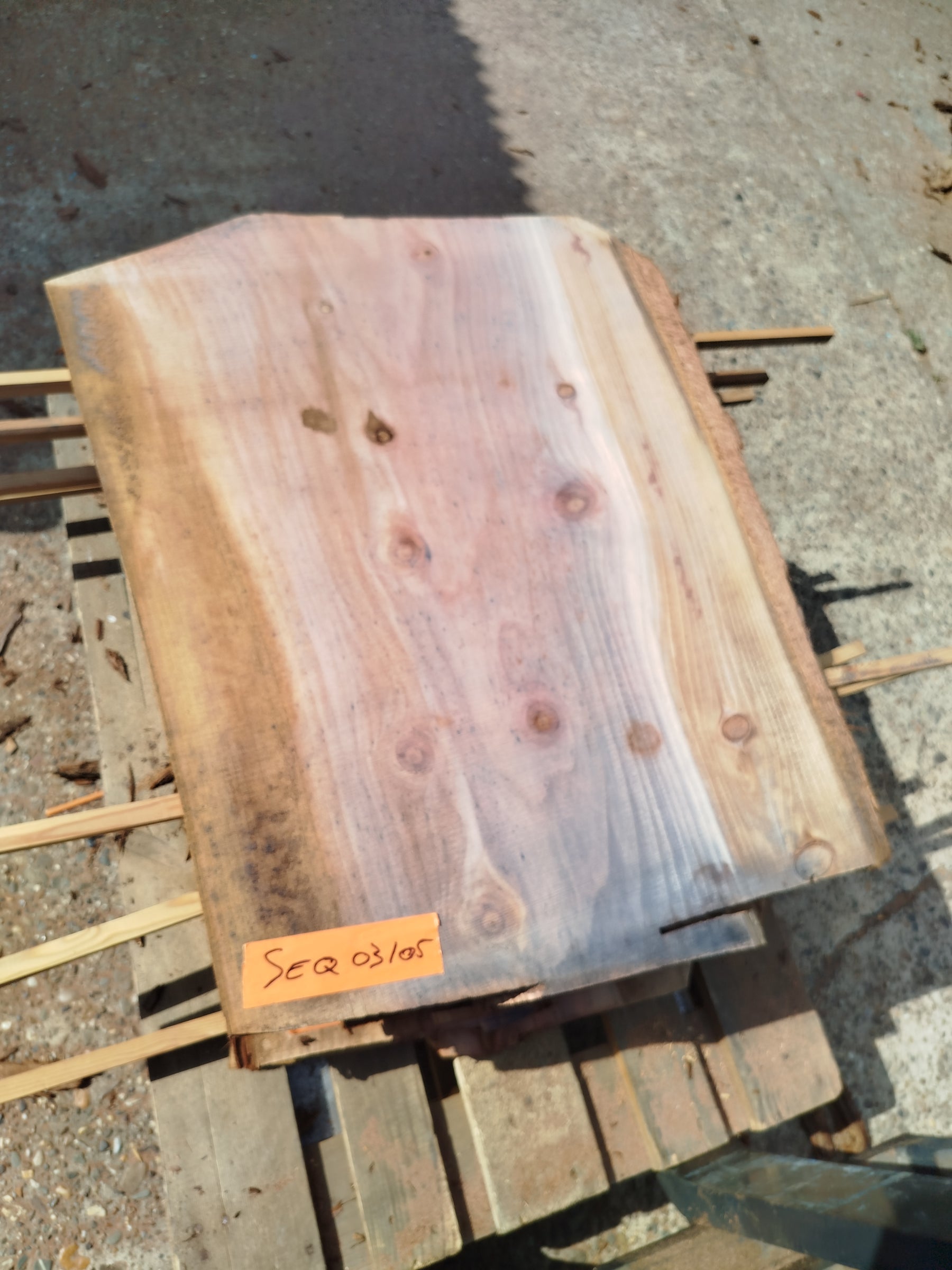 Sequoia (st)