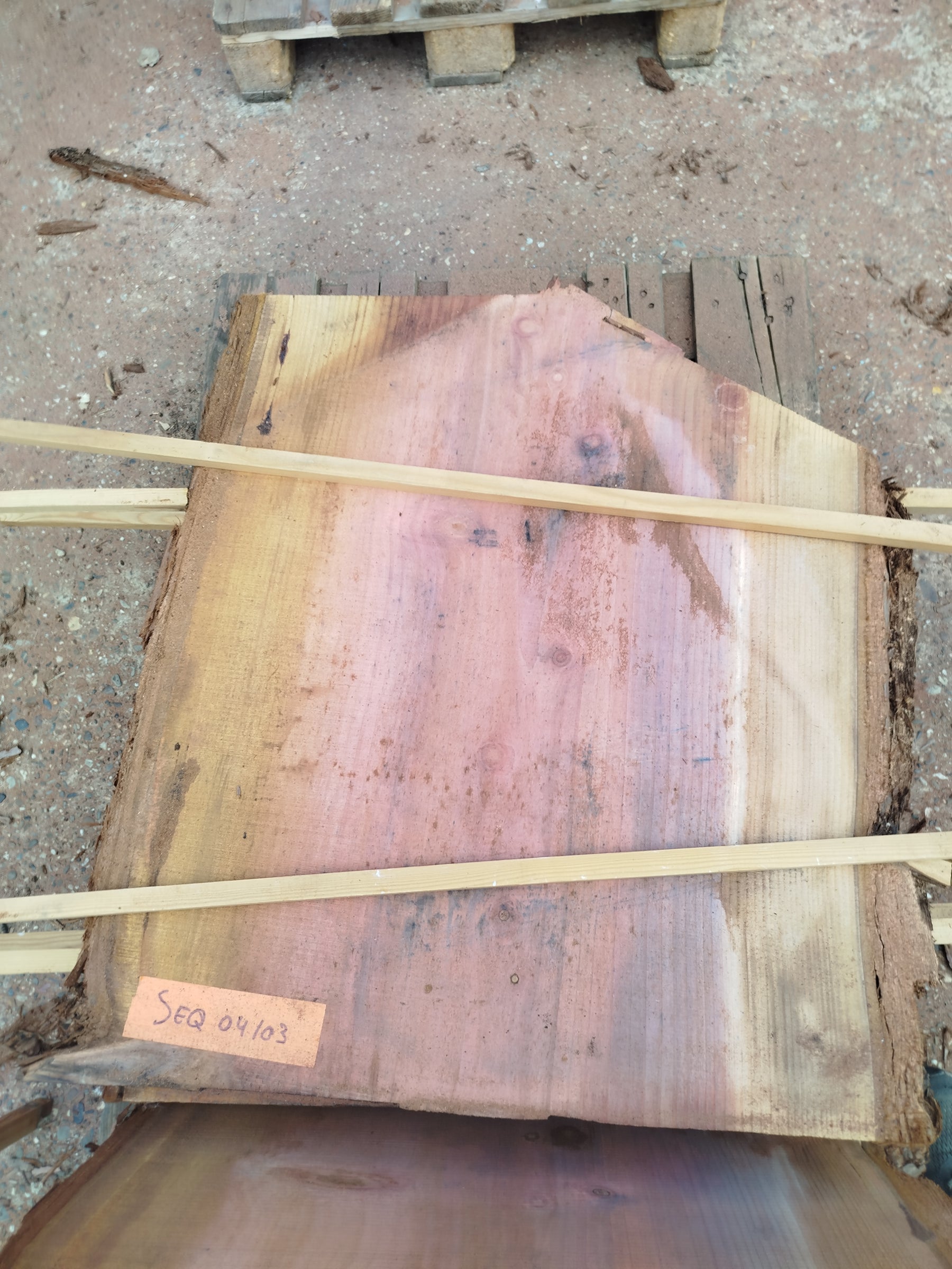 Sequoia (st)