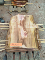 Sequoia (st)