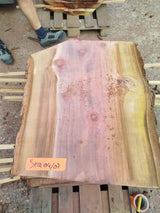 Sequoia (st)