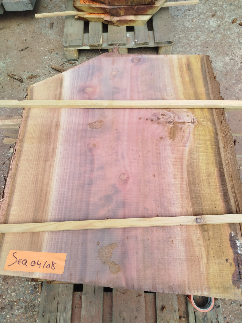 Sequoia (st)