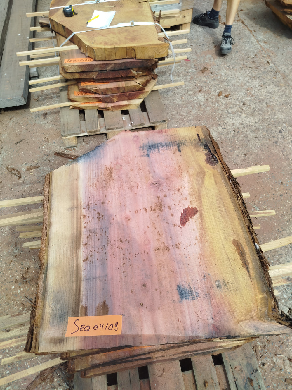 Sequoia (st)
