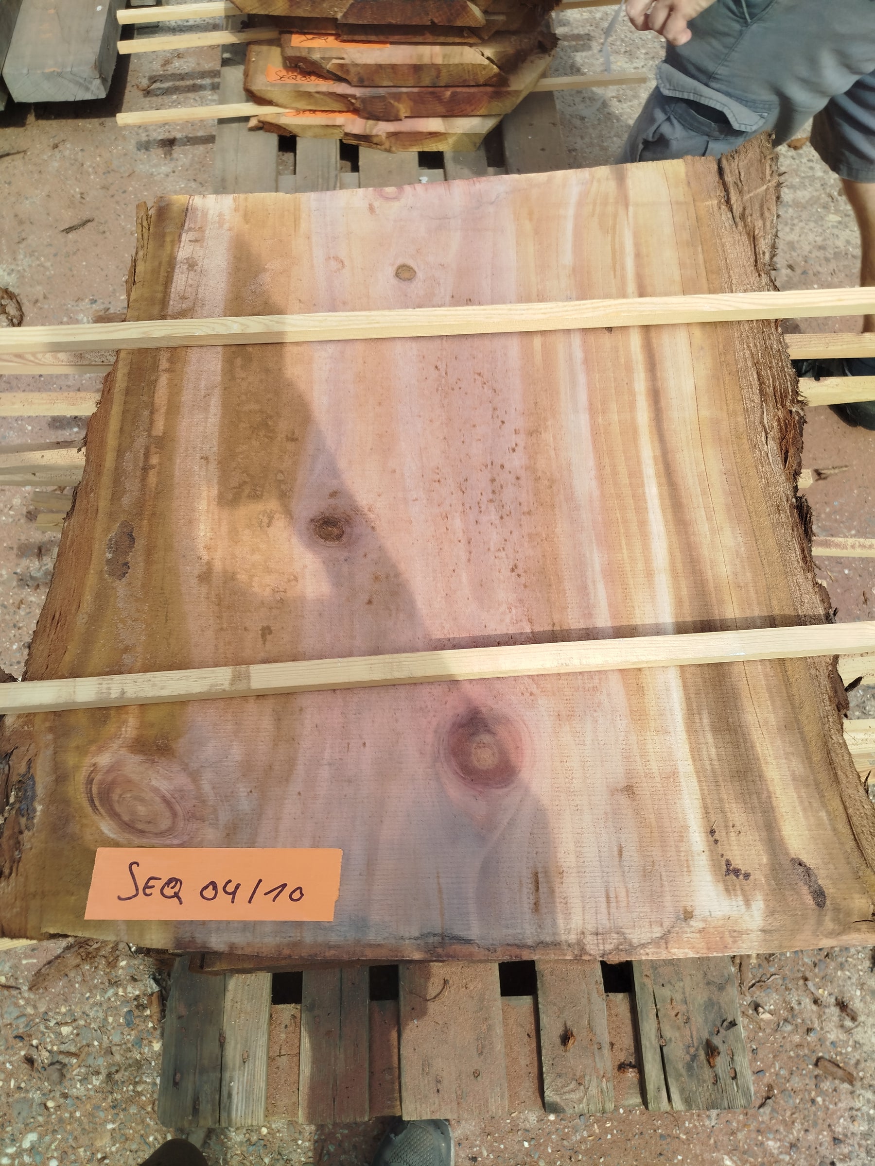 Sequoia (st)