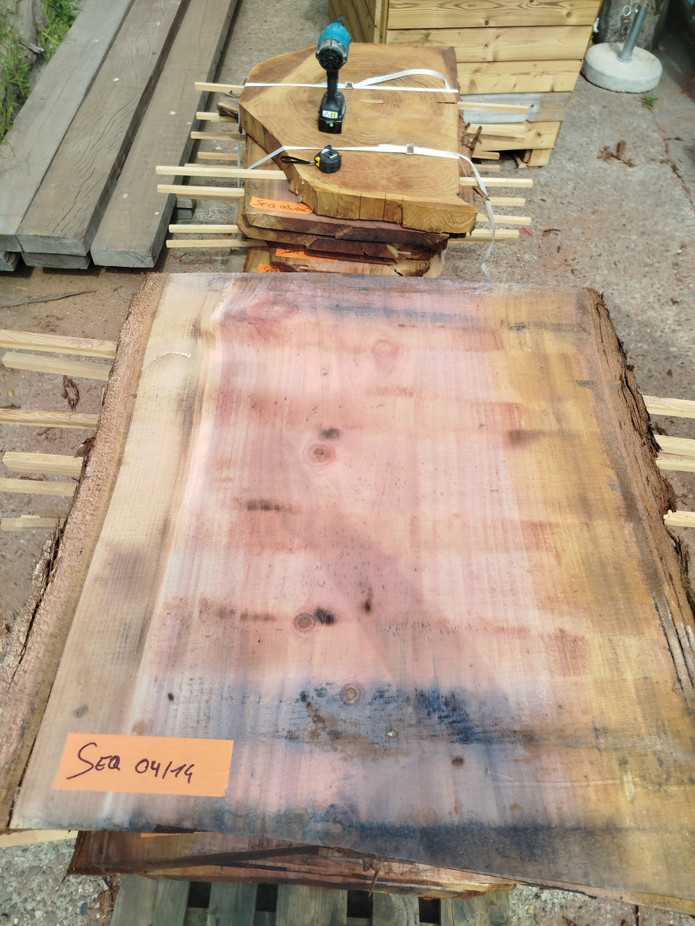 Sequoia (st)