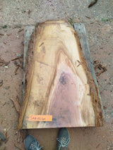 Sequoia (st)