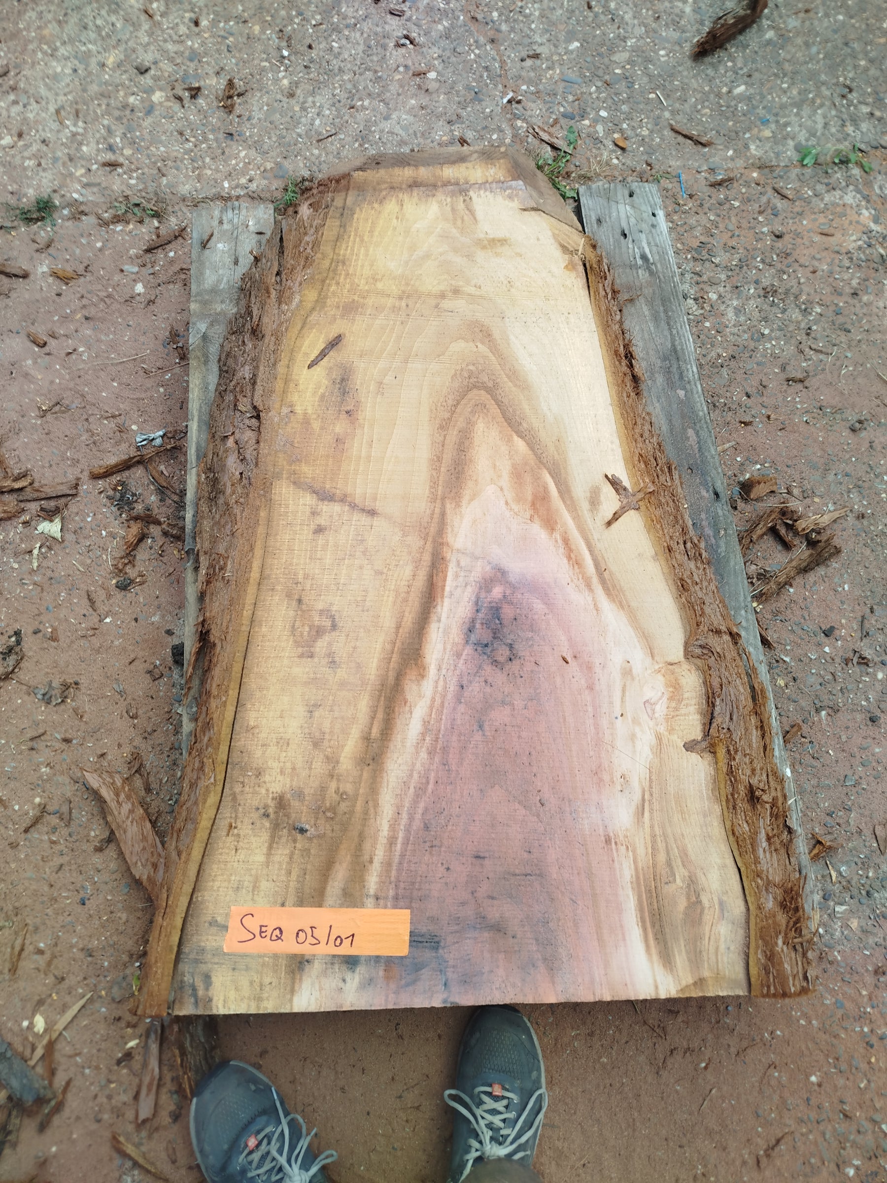 Sequoia (st)