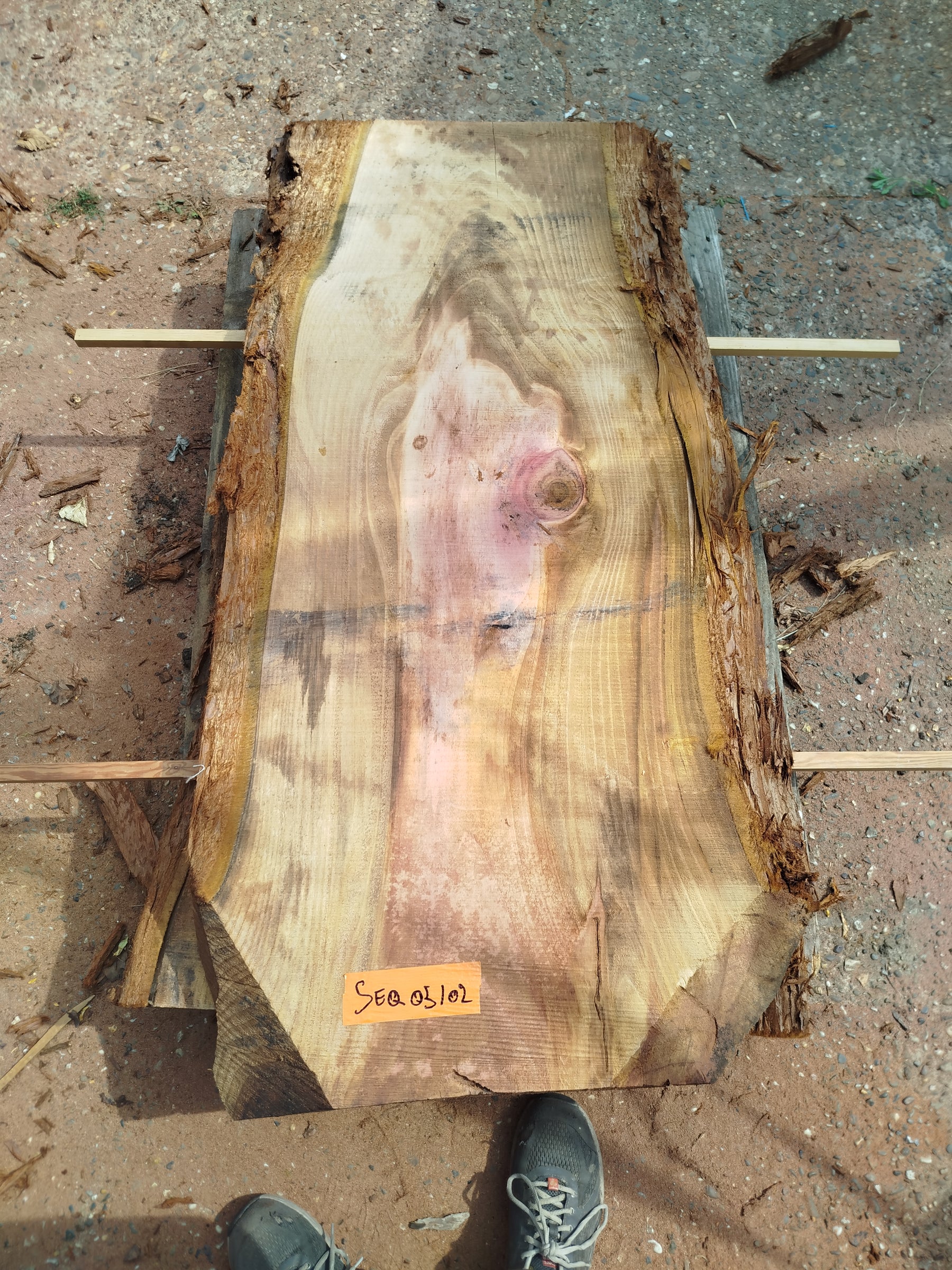 Sequoia (st)