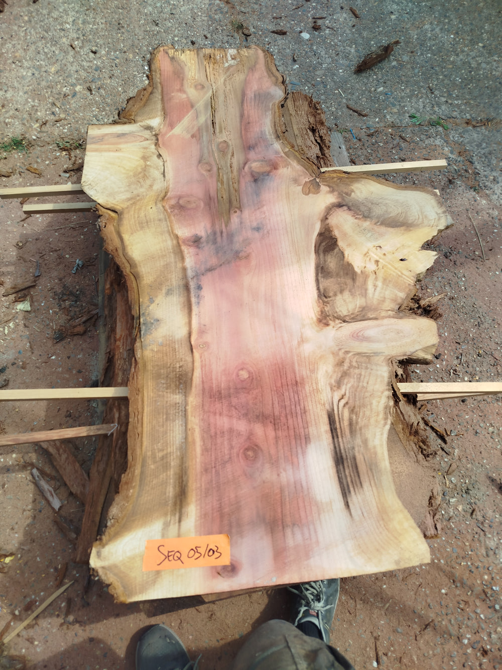 Sequoia (st)