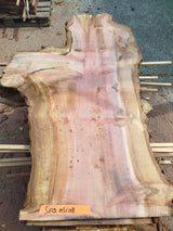Sequoia (st)