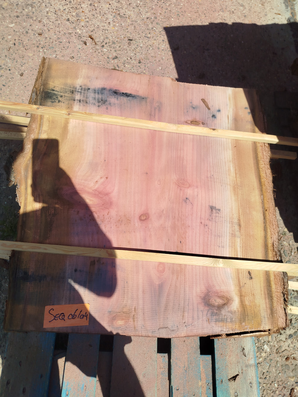 Sequoia (st)