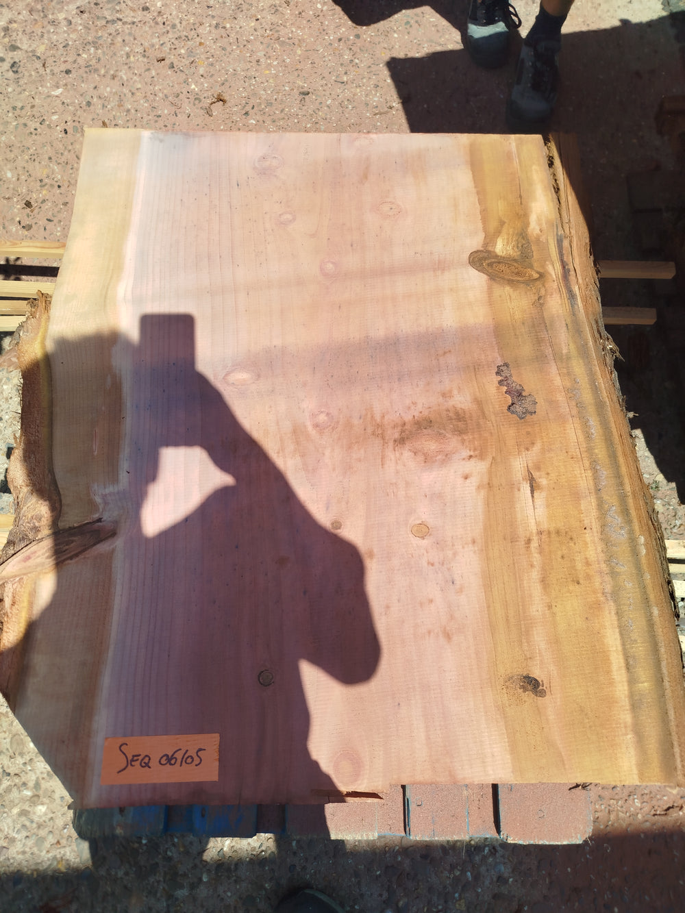 Sequoia (st)