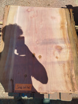 Sequoia (st)