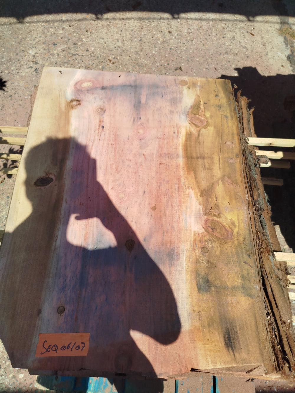 Sequoia (st)