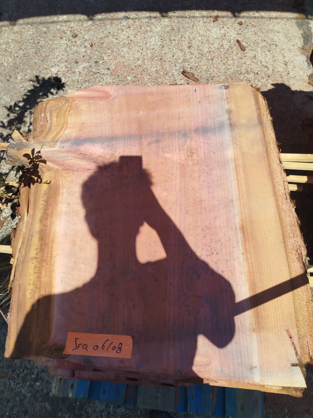 Sequoia (st)