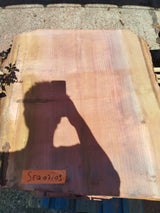 Sequoia (st)
