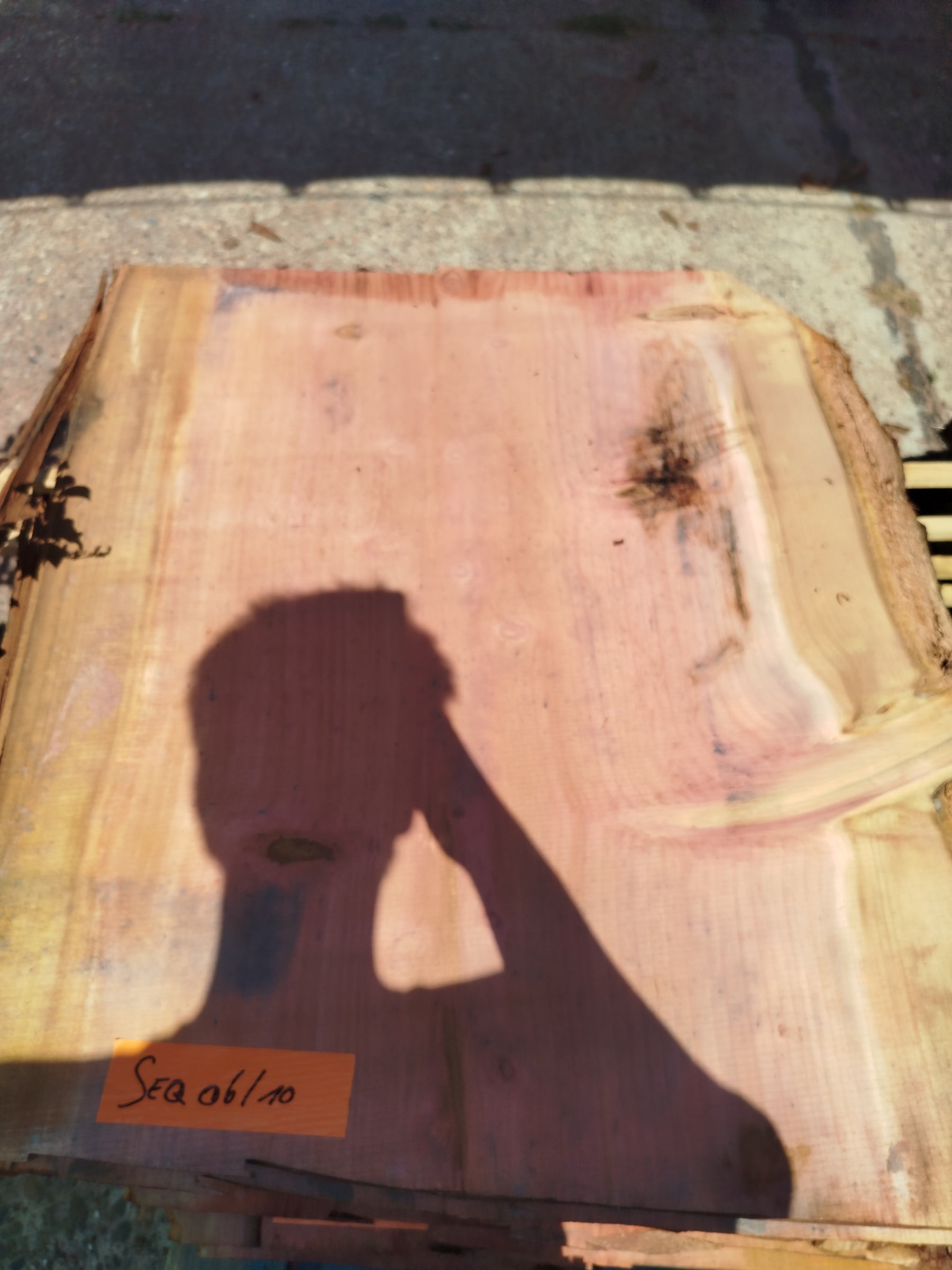 Sequoia (st)