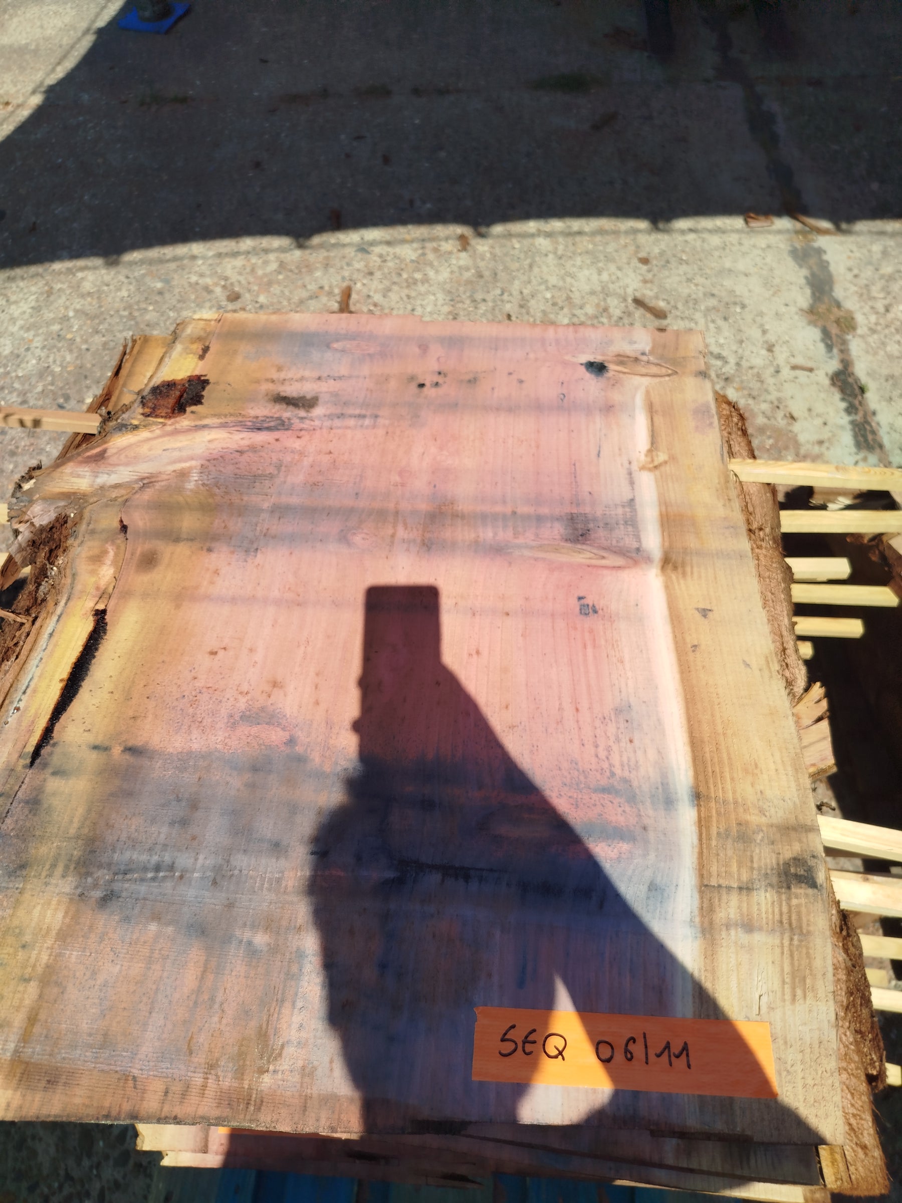 Sequoia (st)