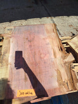 Sequoia (st)