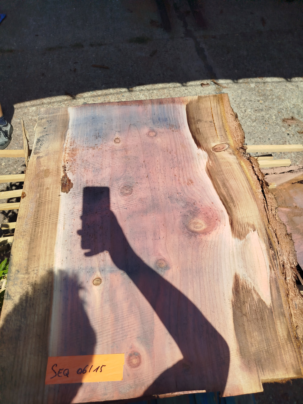 Sequoia (st)