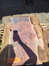 Sequoia (st)