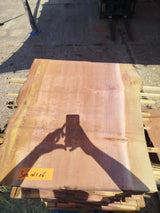 Sequoia (st)